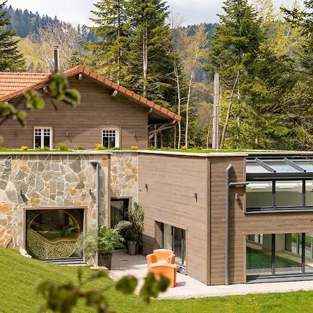 Des Bois Chalet Ventron